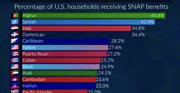 Trump Supporters Lie About SNAP Food Assistance Recipients, Try to Smear Non-White Non-Citizens