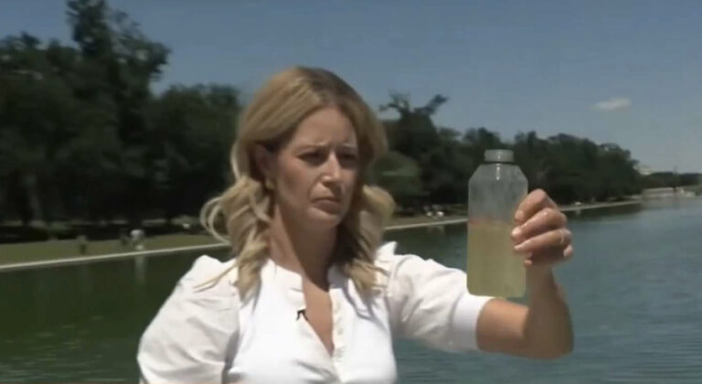 Paid MAGA Influencers Furious at CNN for Testing Green Water in Trump’s Reflecting Pool Disaster
