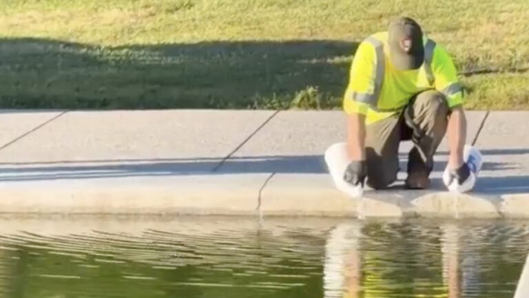 Trump Admin Turns Washington DC Reflecting Pool Green With Algae, Try Using Hydrogen Peroxide, Laughter Follows